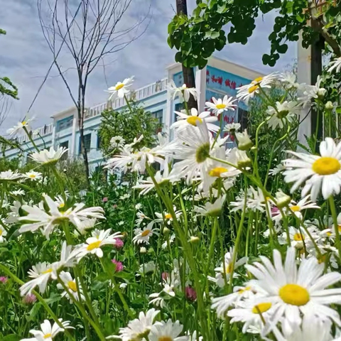 研有所见 ‍学有所获 ‍卜家庄学校吊湾小学研学活动纪实