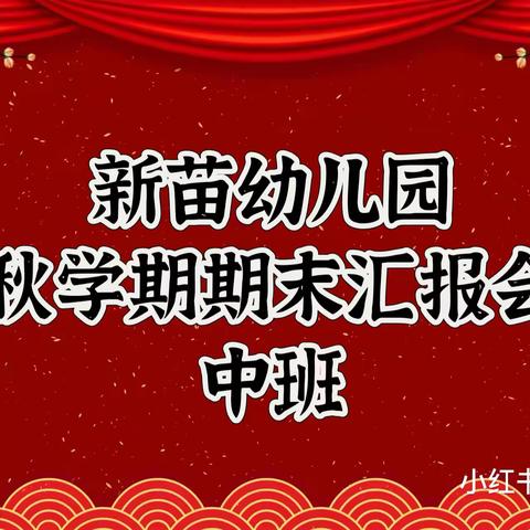 新苗幼儿园中班~期末汇报