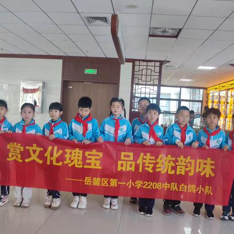 探索中医奥秘——传承文化瑰宝