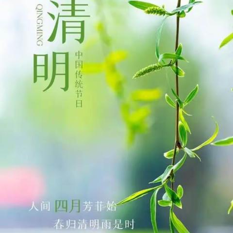 🌿清明节气到，春光正明媚——潍城开发区实验小学幼儿园启智大二班🌿