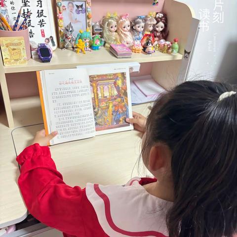 东盛小学二年五班 刘芮希家庭读书会