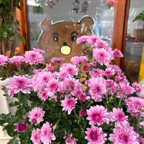 ✨大班幼小衔接：做好身心准备，助力孩子轻松“幼升小”