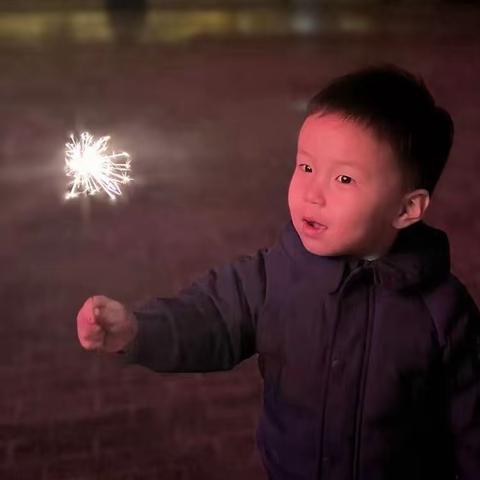 跨世纪晨光幼儿园  朝霞一班 王启帆的小鹿成长之旅