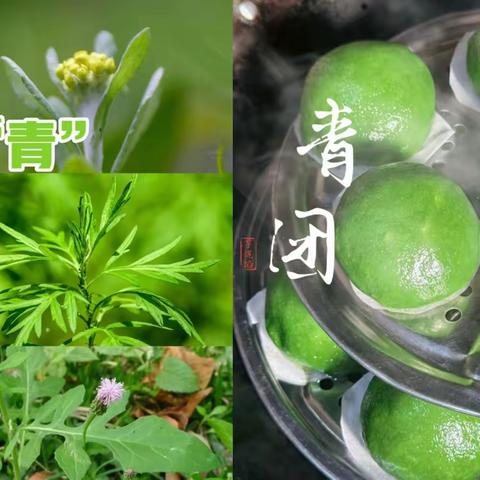 春来食“青”🌿∽手作青团