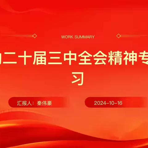 学习党的二十届三中全会精神