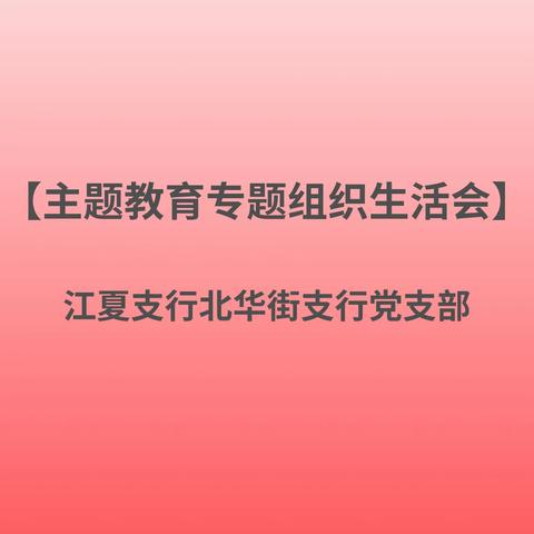 江夏支行北华街支行党支部开展主题教育专题组织生活会