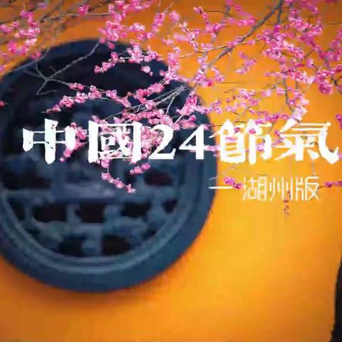 第29届全国摄影艺术展短视频类入选作品展示（二）