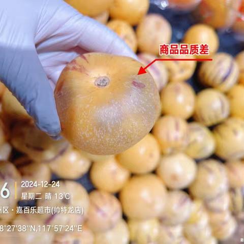 2024年12月24日帅特龙店各课课长巡店