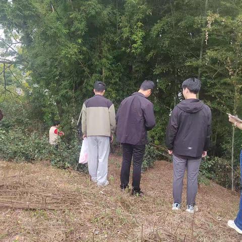 【银坑镇莲花社区】开展土地征收活动