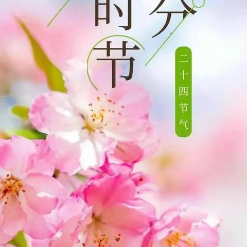 东部新天地项目管理处 （2024年3.18-3.24）工作简报