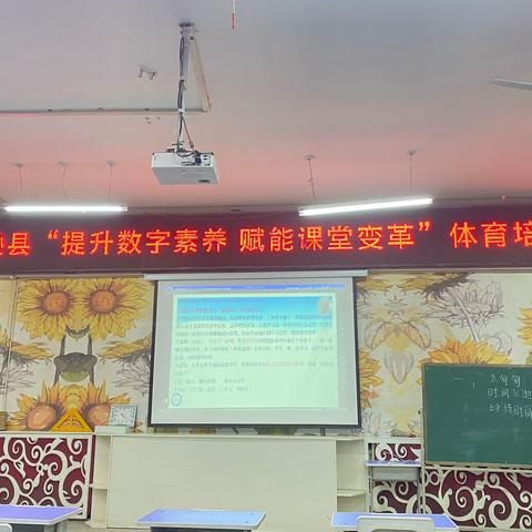 提升数字素养  赋能课堂变革——托克逊县全体体育教师专业培训活动