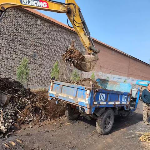 清理环境卫生 共建美好家园