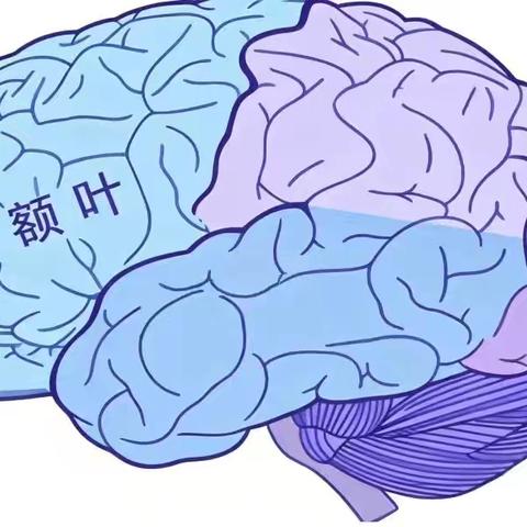 请尊重你的前额叶