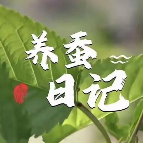 博弈教育实践课堂 探索自然奥秘，见证生命蜕变 ～蚕的养殖