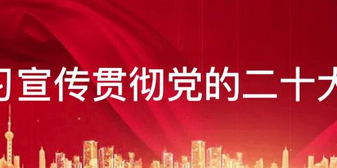 踔厉奋发迎新春 笃行不怠向未来——阳光宝贝幼儿园党支部主题党日活动纪实