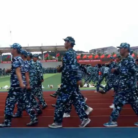 军训的心得体会