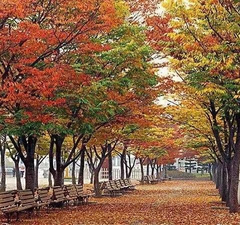 广西（2023）年“国培计划”南宁市统筹项目——小学骨干教师能力提升培训（数学）跟岗研修——不忘初心共筑梦，国培研修启智慧