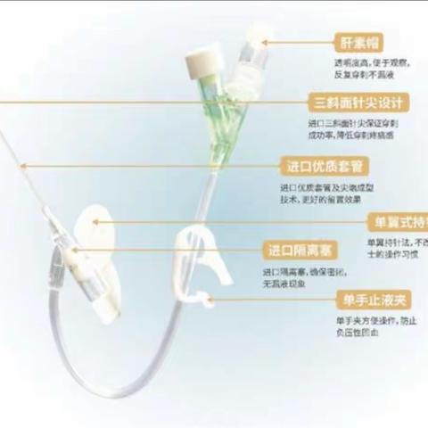 静脉留置针健康宣教