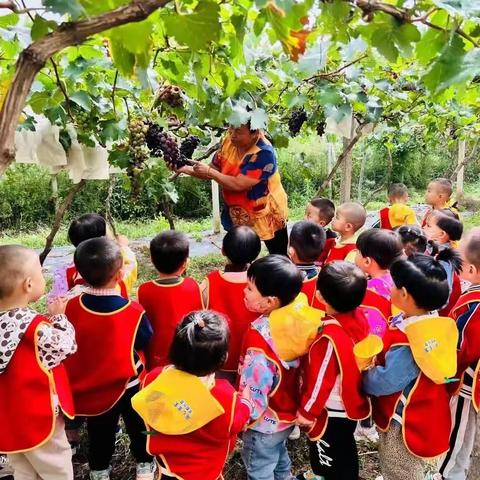 【儿童成长的奇妙之旅】萌心宝宝幼儿园（22学前6班）杨钰英第二周见习