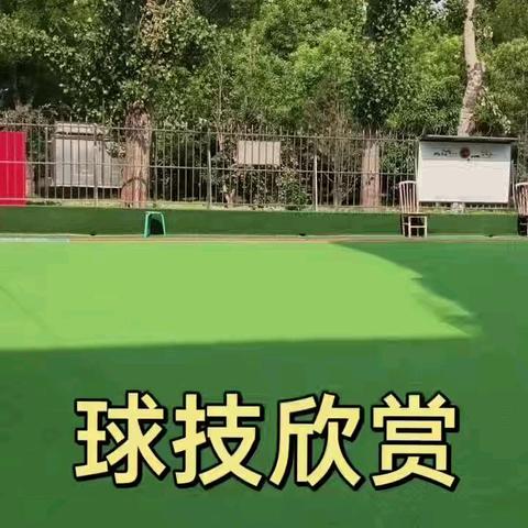 杜连平门球技能秘籍