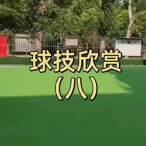 门球技巧欣赏之二