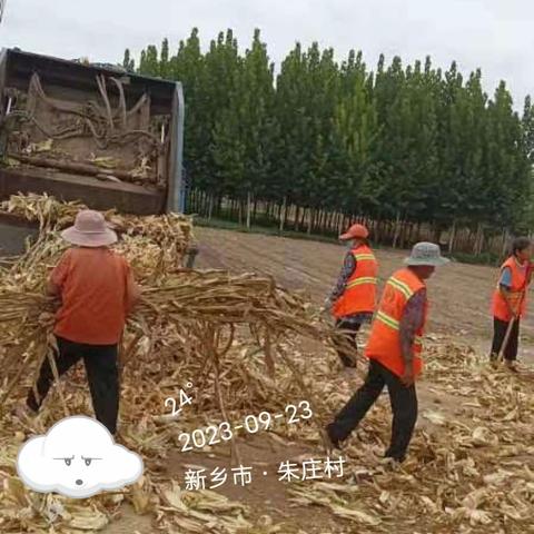 清秸秆 除隐患 美环境 南蒲街道开展人居环境整治行动