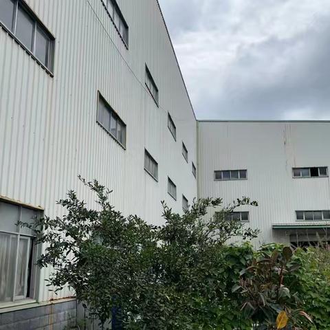 东方拍卖沙县分公司的简篇
