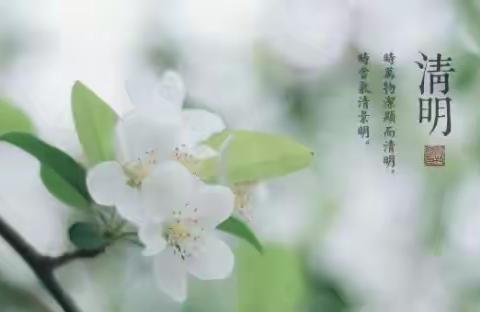 兰陵县南桥镇中心小学“缅怀革命先烈，传承红色基因”清明祭英烈活动