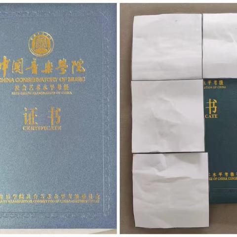 面积的估计与实测