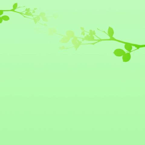 春日里的数学教研，探索与推理的奇妙之旅——记广埠屯实验小学数学组教研活动