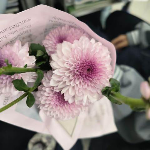 春风十里   书香拂面   植物书签 之华彩班