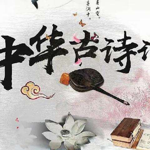 读千古诗文  诵经典美篇——杨召小学古诗诵读活动