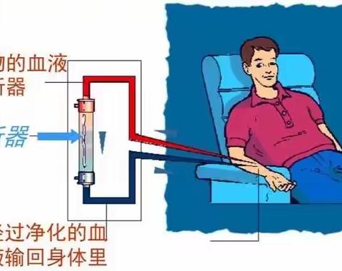 一文搞定！血透新手所有透析知识点