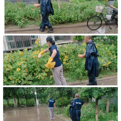 喜雨恰逢时，施肥正当时