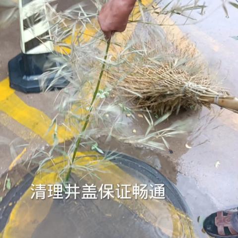 雨天里的温情守护