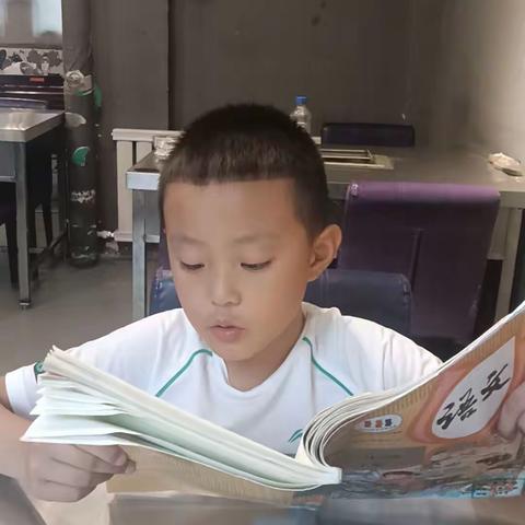 东盛小学二年二班 李子昂 古诗词阅读