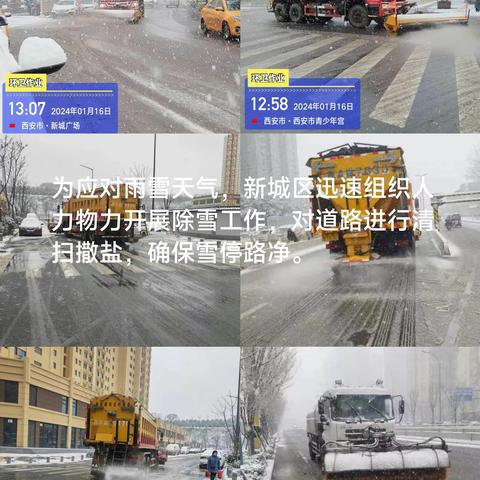 以雪为令—新城区全力除雪除冰  确保城市有序运行