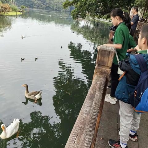 家门前观鸟，收获颇丰