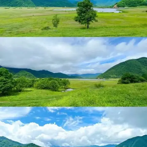 湖北神农架全程自驾丨湖北神龙架夏季行，来过20°C的夏天吧！寻访“野人”足迹，感受夏日山水~