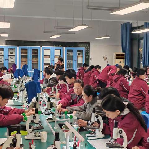 生物实验课堂：探索微观世界的奥秘