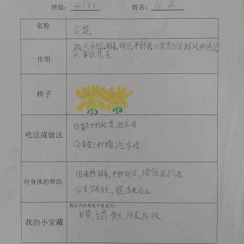 海口市英才滨江小学开展中医药文化小课堂作业图片