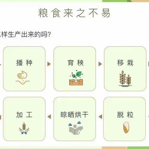 珍惜粮食  厉行节俭 一一海智林幼儿园一园乐乐四班