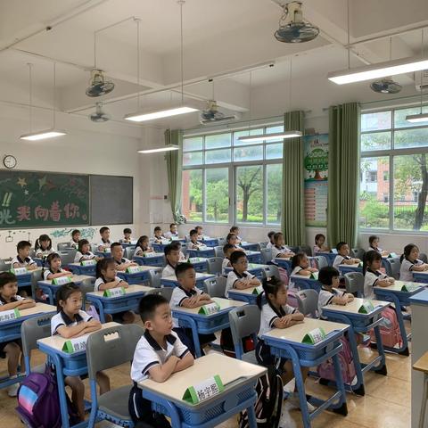 恭喜同学们上小学啦！