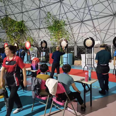 婺韵悠扬镖飞彩 银龄竞技乐开怀——丽水市老年人飞镖交流活动缙云队荣获冠军