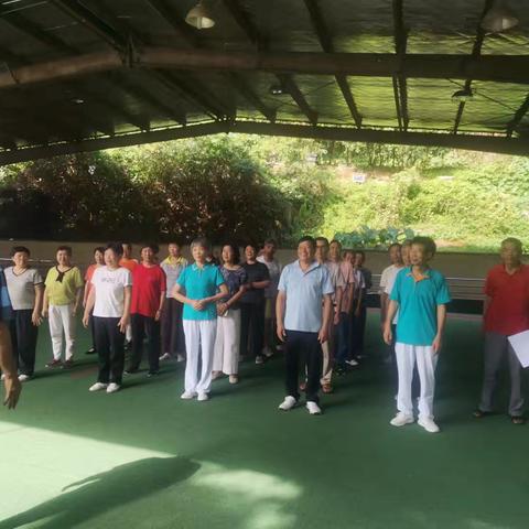 缙云银发族掀起兜球热 方寸球场演绎最美夕阳红