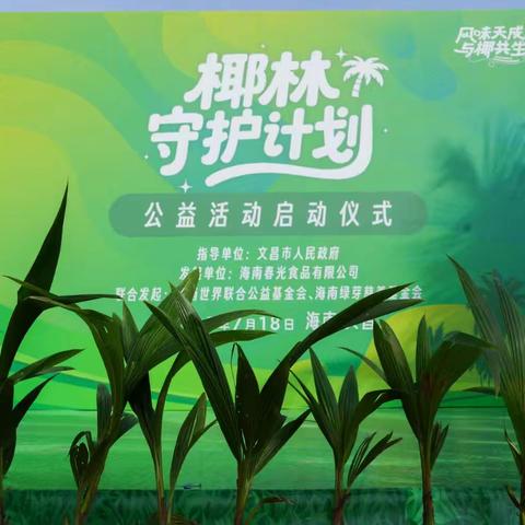 椰林深处.大爱无声---记“椰林守护计划”中的公益之光 #公益#椰林#生态保护#春光食品#世界联合/红树林