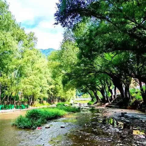 95，秦岭三岔河的夏日