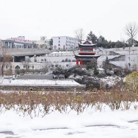 100，大寒踏雪记