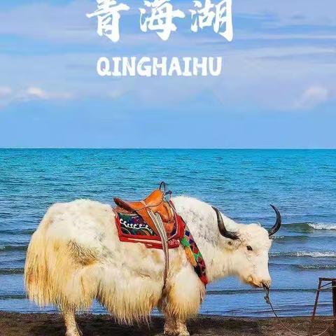 103，青海行记（三）