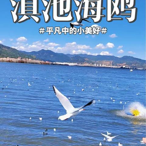 112，彩云之南（二）